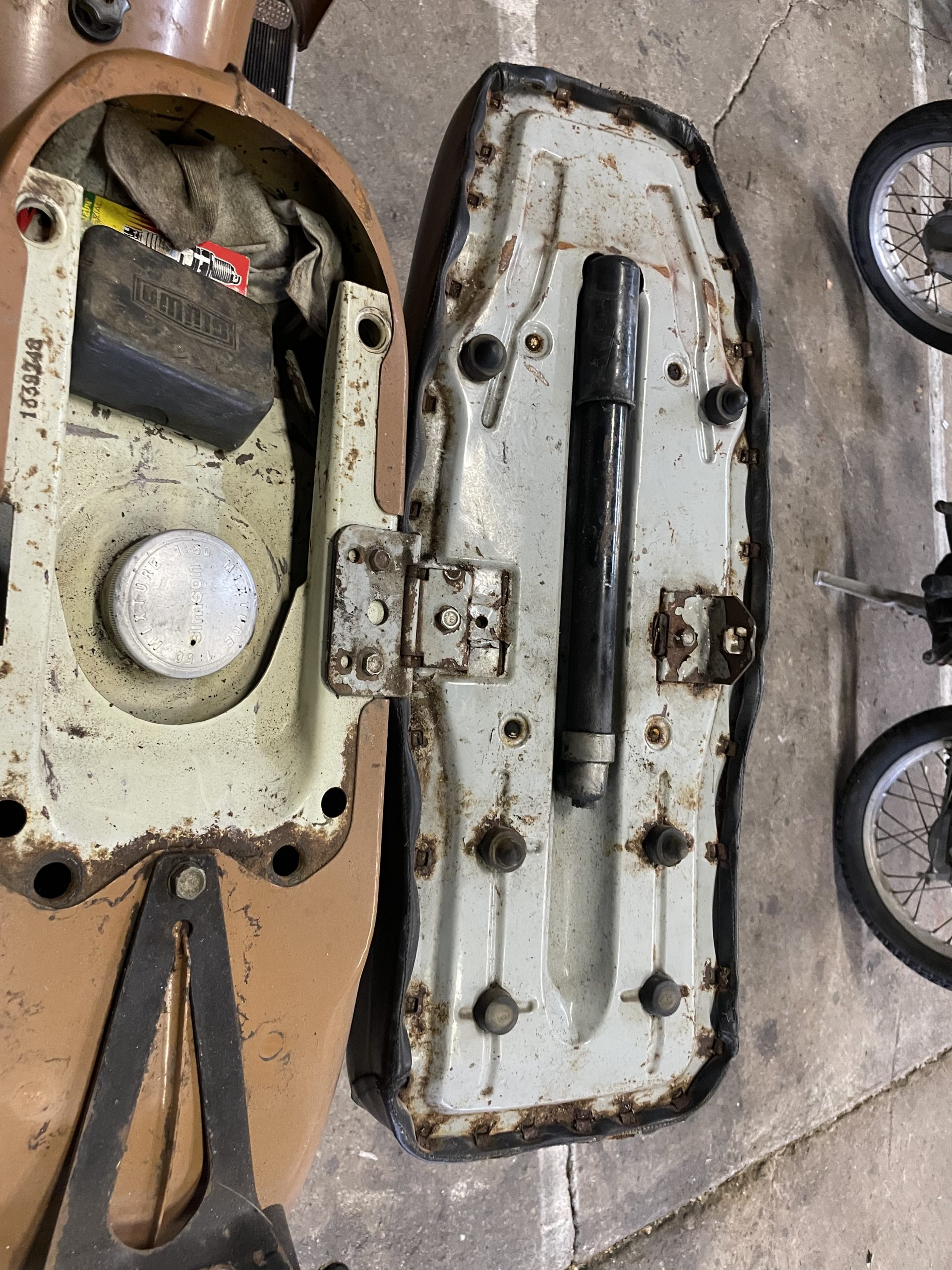 
								Schwalbe full									